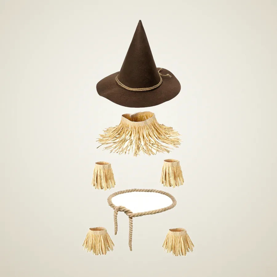 Almonry Scarecrow Costume, photo 1