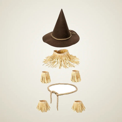 Almonry Scarecrow Costume, photo 1