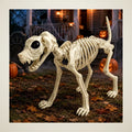 Archwick Skeleton Dog, photo 1