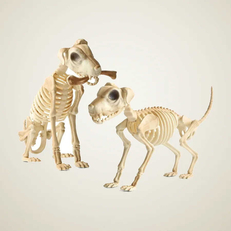 Archwick Skeleton Dog Pair, photo 1