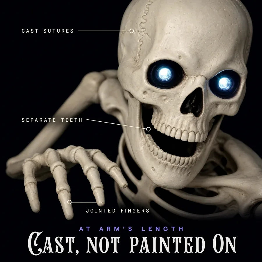 Baronsgate Groundbreaker Skeleton 4ft, photo 8