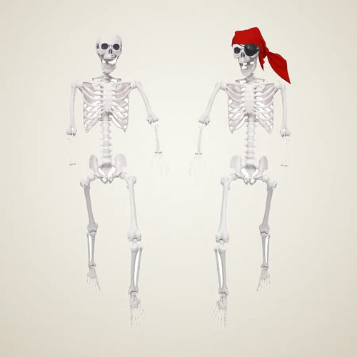 Bowyer 5.4 ft Skeleton, 2 pack, photo 1