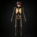 Chantry Inferno Pumpkin Skeleton 12ft, photo 1