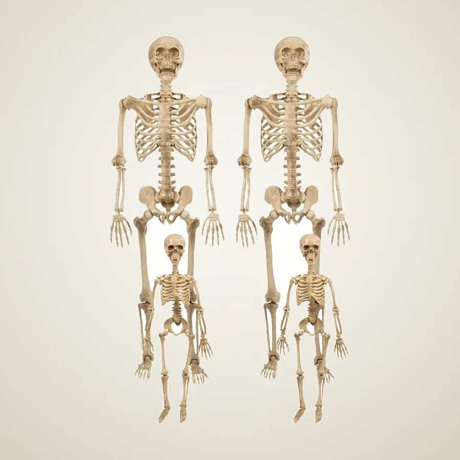 Citadel Skeleton Family, 4 pack, photo 1