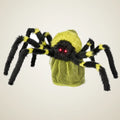 Citadel Spider, photo 1