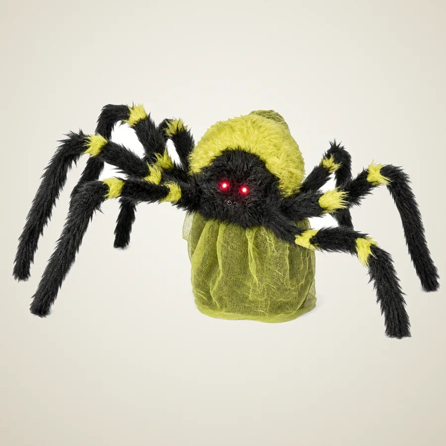 Citadel Spider, photo 1