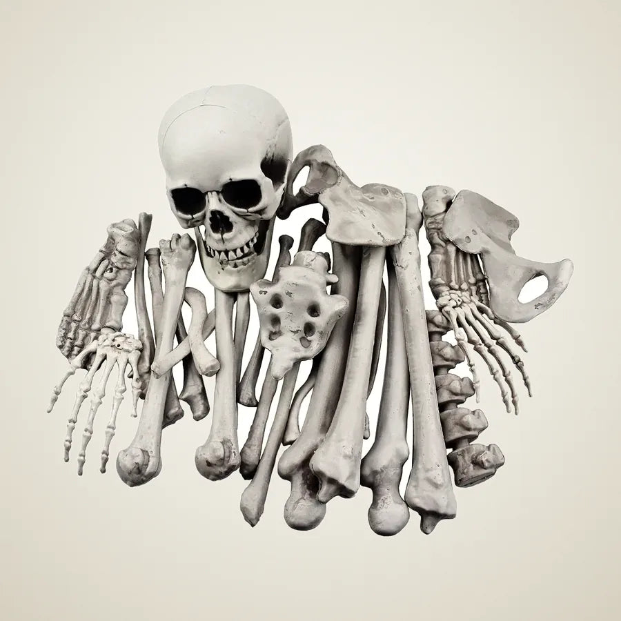 Crenelle Loose Bones, 28 pieces, photo 1