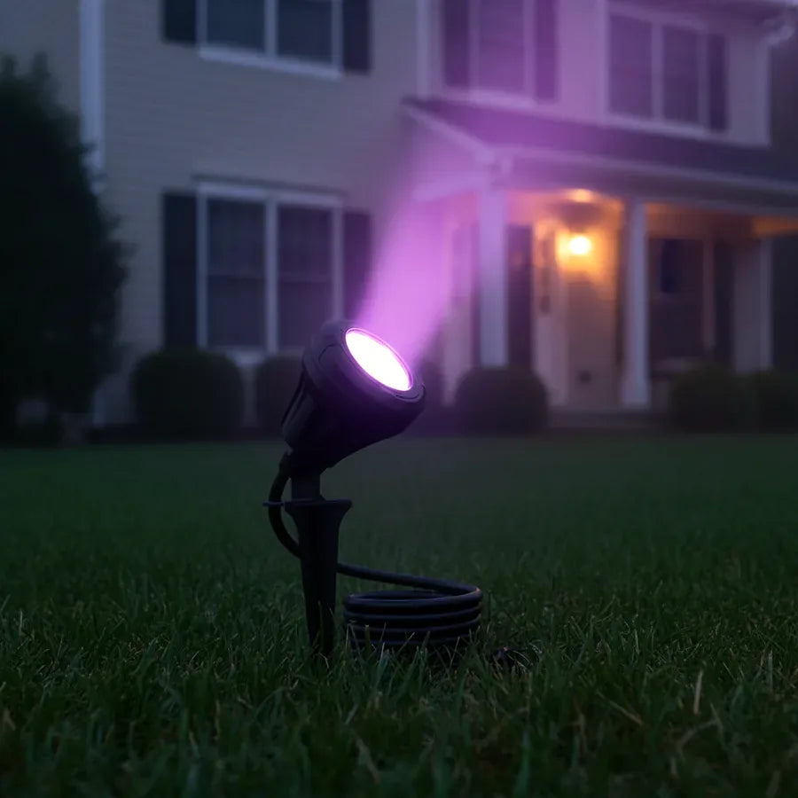 Crosier Spotlight, photo 2