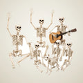 Dais Skeleton 6 pack (3 x 5.4 ft + 3 x 3 ft), photo 1