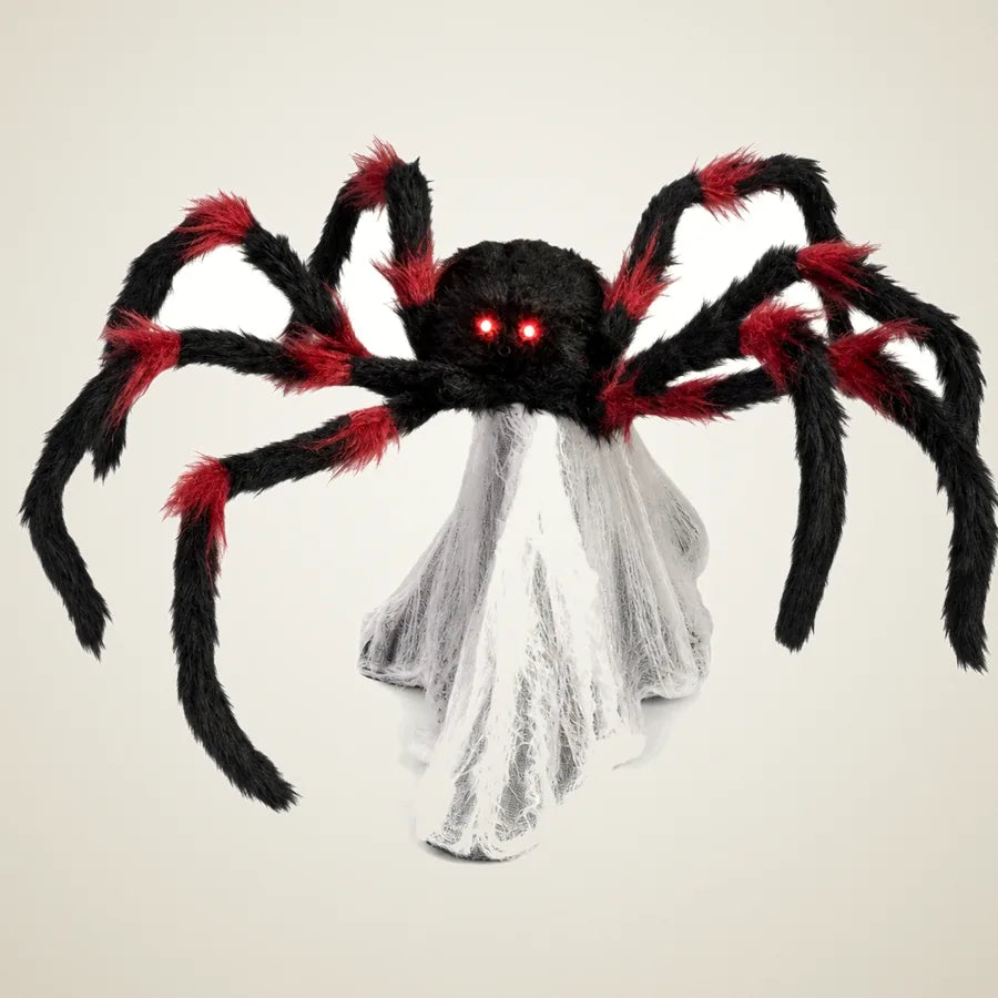 Drawbridge Spider, photo 1