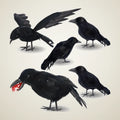 Falconer Crows, 5 pack, photo 1