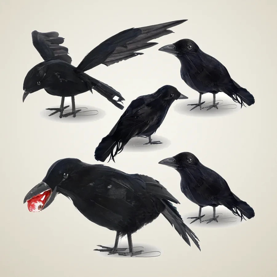 Falconer Crows, 5 pack, photo 1