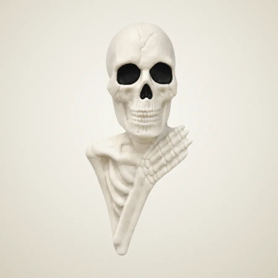 Falconer Skeleton, photo 1