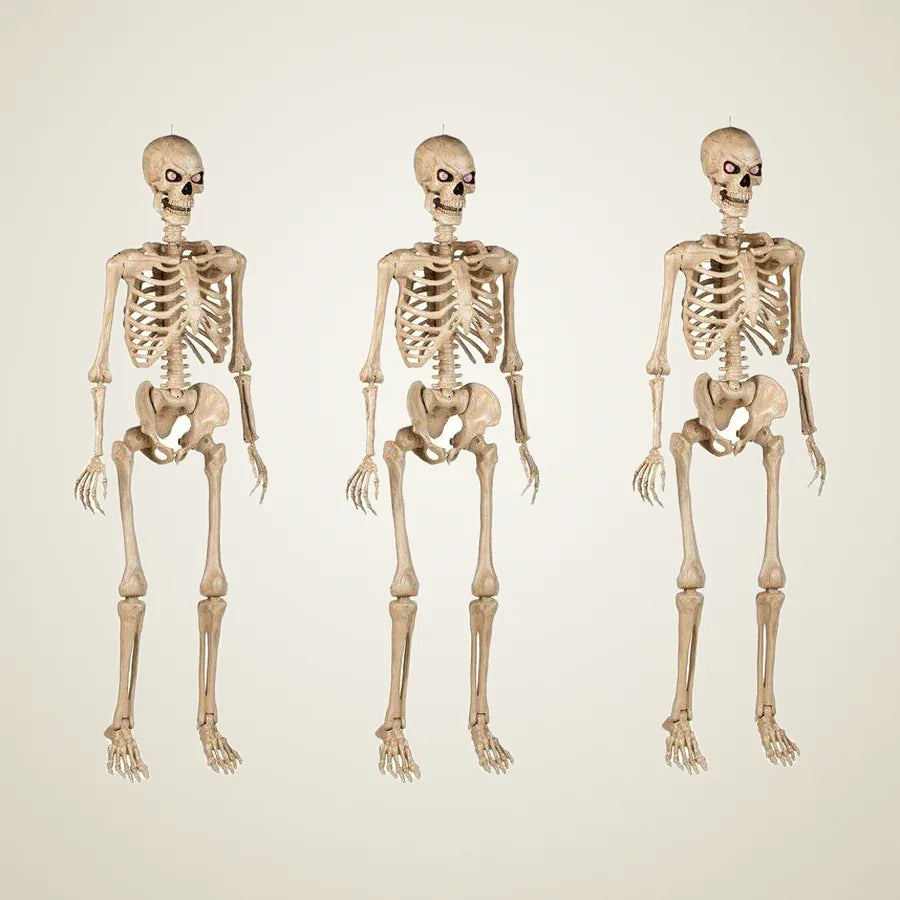 Hermitage 5 ft Poseable Skeleton, 3 pack, photo 1