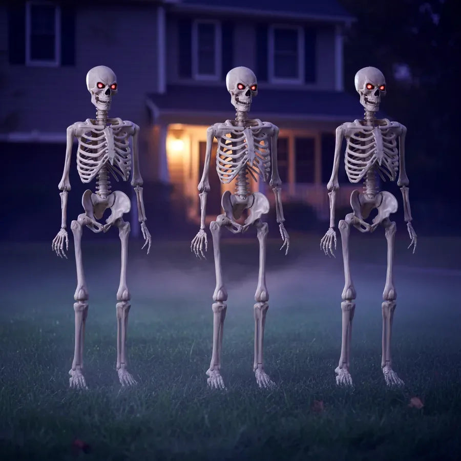 Hermitage 5 ft Poseable Skeleton, 3 pack, photo 2