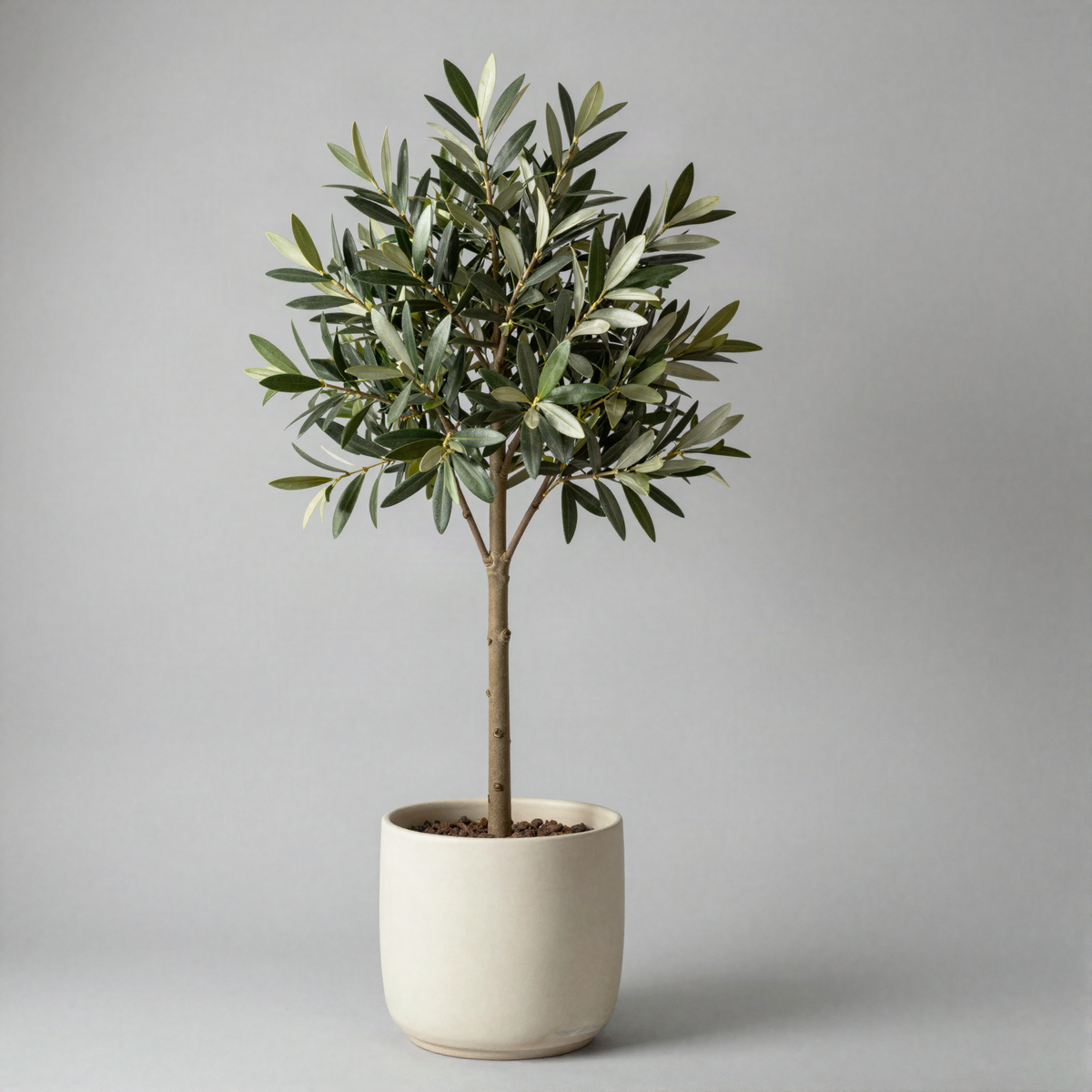Faux Olive Tree in Pot