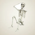 Knightsbridge Skeleton 5.4ft, photo 1