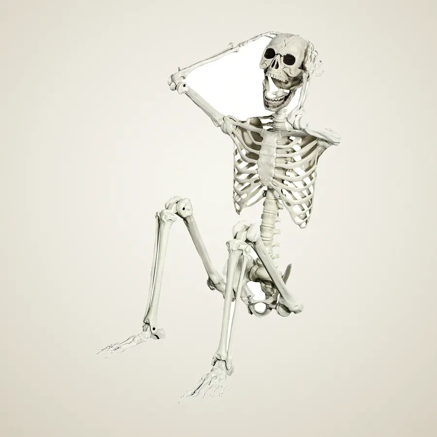 Knightsbridge Skeleton 5.4ft, photo 1