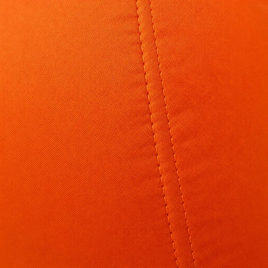 Litany Giant Pumpkin 20ft, photo 4