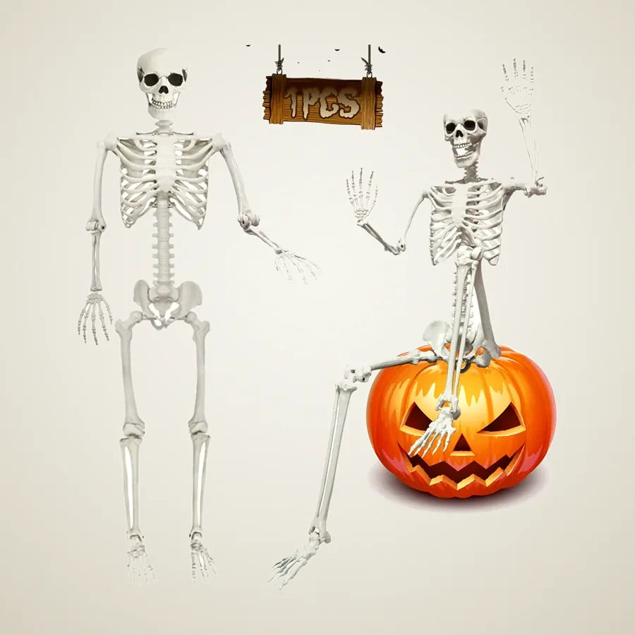 Marquess Skeleton 5.9ft, photo 1