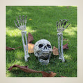 Novice Buried Skeleton, photo 1