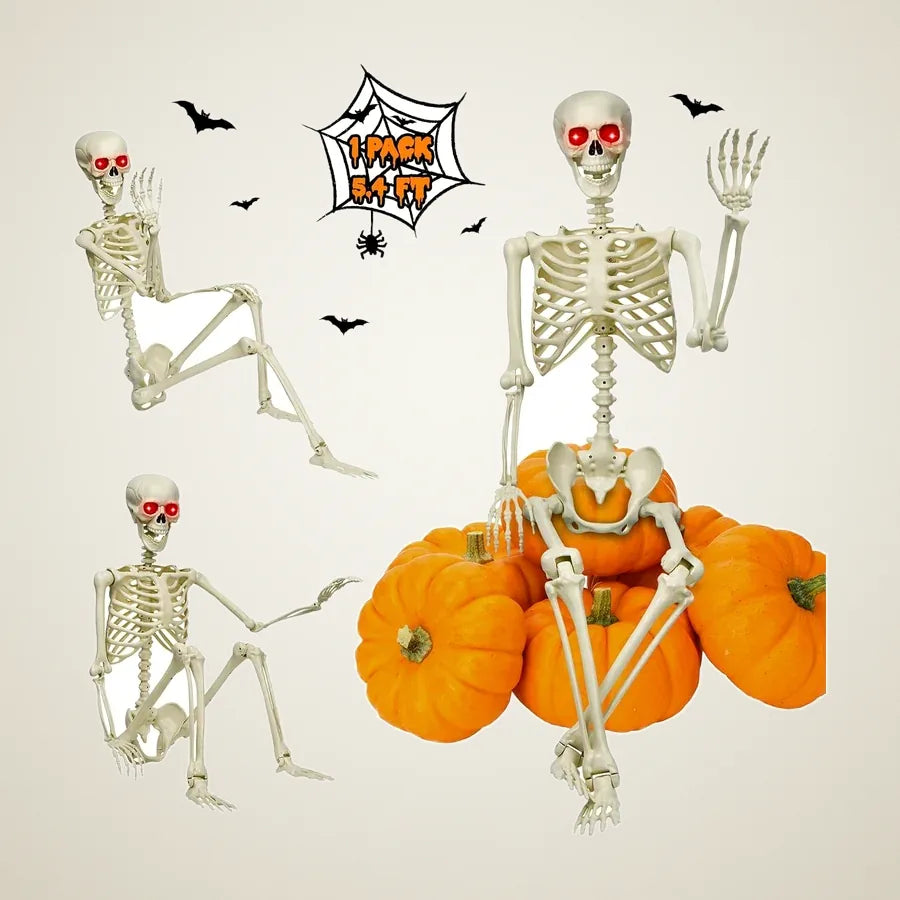 Ossory Skeleton 5.4ft, photo 1
