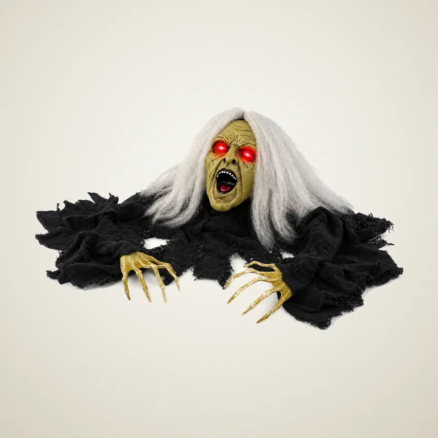 Ossory Witch Animatronic, photo 1