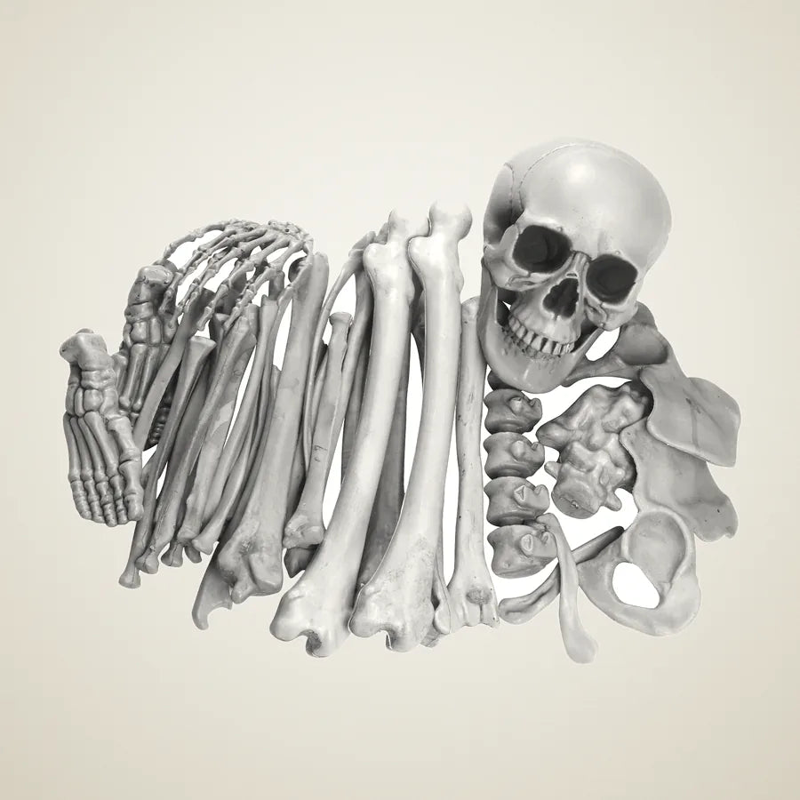 Parish Skeleton, photo 1