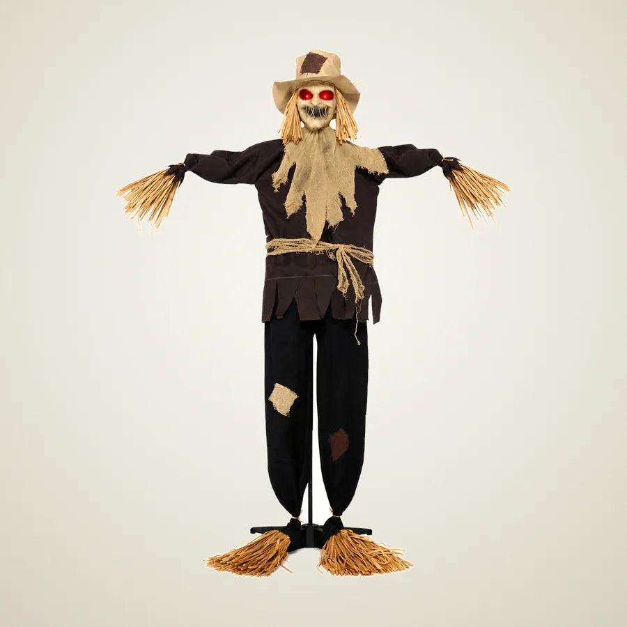 Pilgrim Scarecrow, photo 1