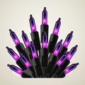 Plinth Purple String Lights 10ft, photo 1