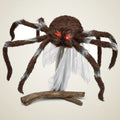 Reliquary Spider, photo 1
