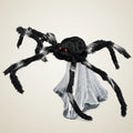 Sacristy Spider, photo 1