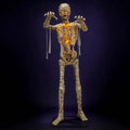 Sconce Mummy 11ft, photo 1