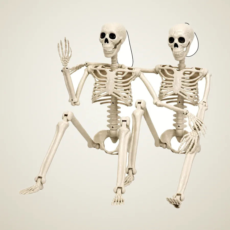 Sepulchre 3 ft Skeleton, 2 pack, photo 1