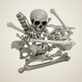 Turret Skeleton, photo 1