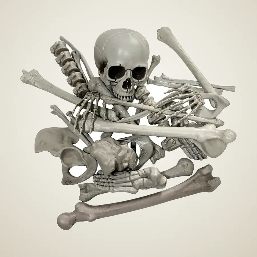 Turret Skeleton, photo 1
