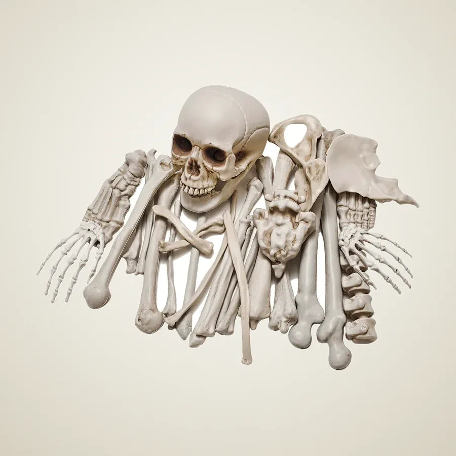 Vassal Loose Bones, 28 pieces, photo 1