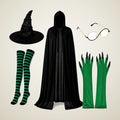 Wyvern Witch Costume, 5 pieces, photo 1